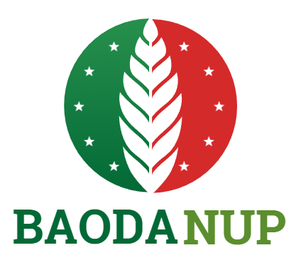 baodanup